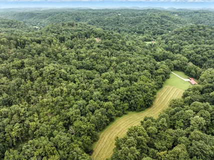 an aerial view of residential houses with outdoor space and trees