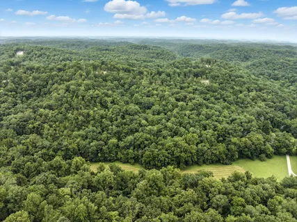 an aerial view of residential houses with outdoor space and trees