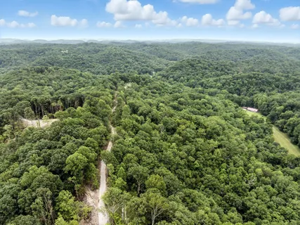 an aerial view of residential houses with outdoor space and trees