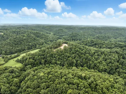 an aerial view of a house with swimming pool and garden