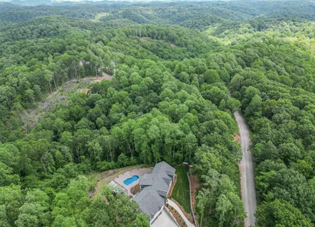 a view of a big yard with plants and large trees
