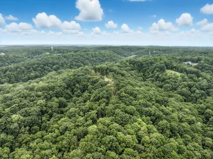 an aerial view of houses covered in trees
