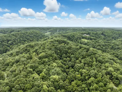 a view of a field of a building with a lush green forest