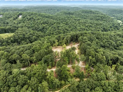 an aerial view of residential houses with outdoor space and trees
