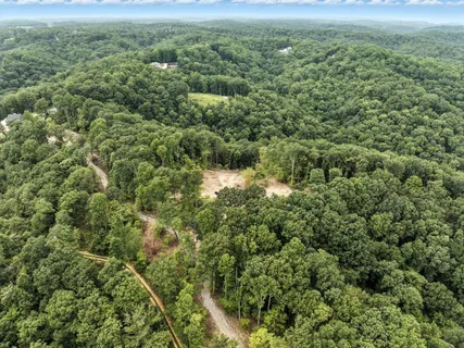 a view of a big yard with lots of green space