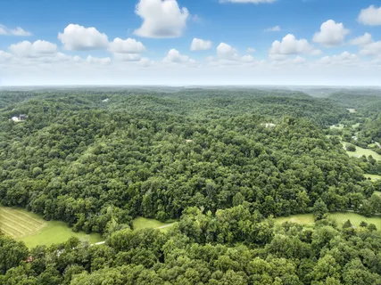 a view of a big yard