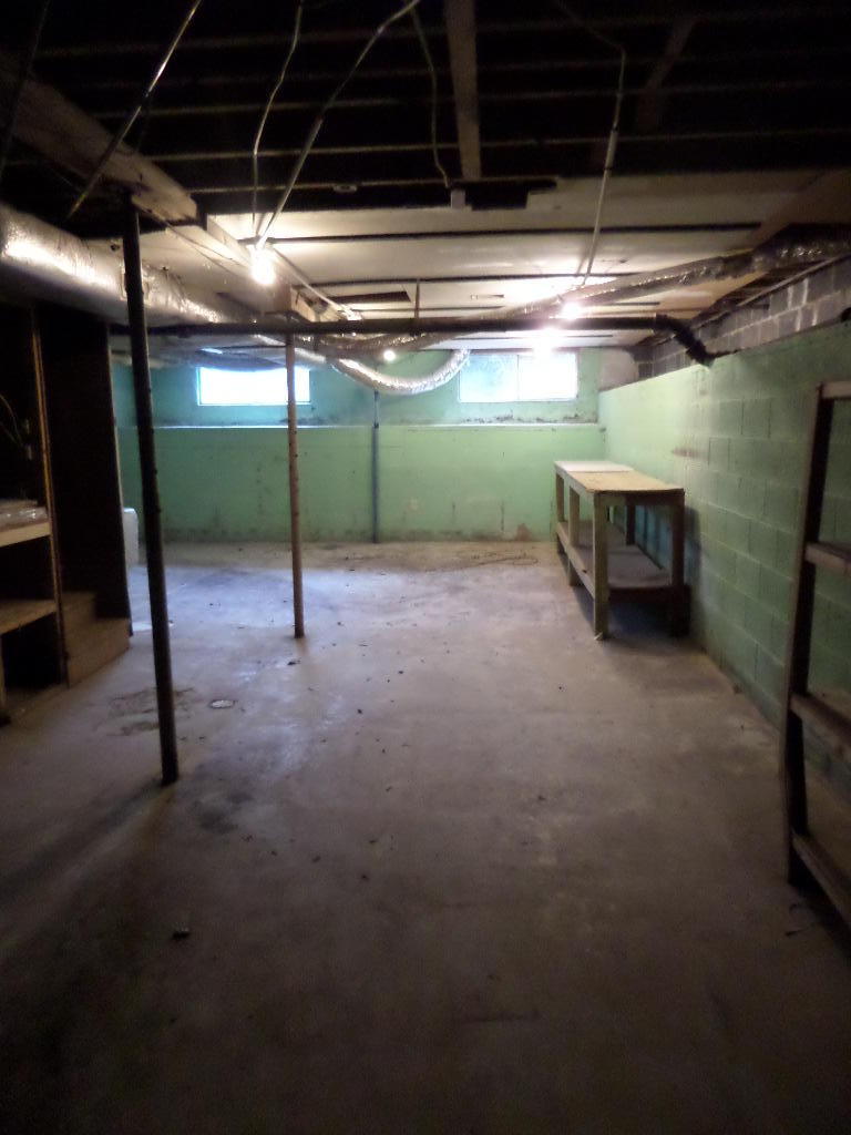 102 Amherst Lane Oak Ridge, TN 37830 - Photo 13 of 23 Basement