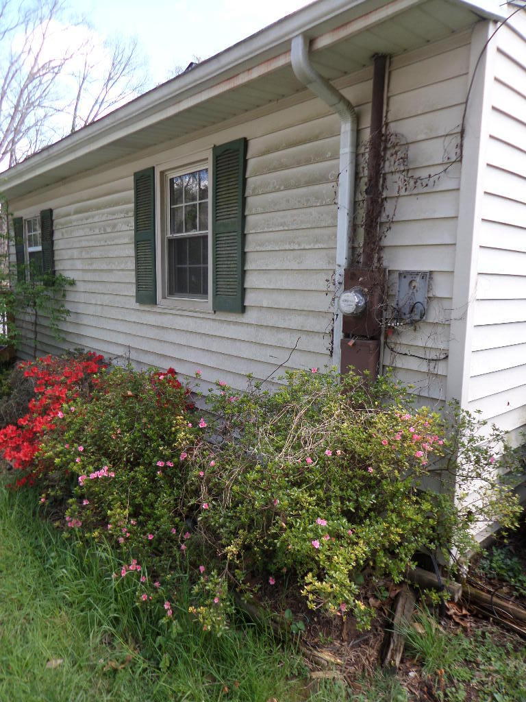102 Amherst Lane Oak Ridge, TN 37830 - Photo 19 of 23 Left View