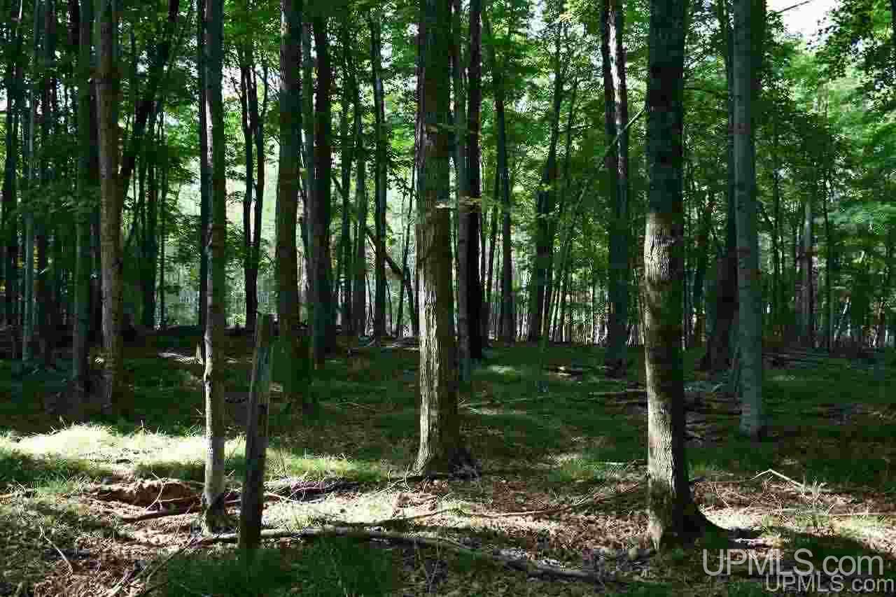 Tbd Tbd Jimtown (15 Lane) Road Menominee, MI 49858 - Photo 7 of 20