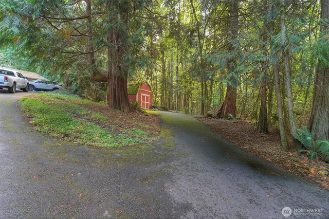 a view of a street with a trees