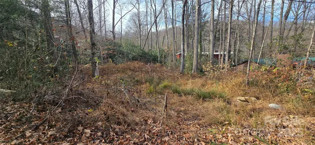 a view of outdoor space and garden