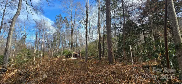 a view of swimming pool with window
