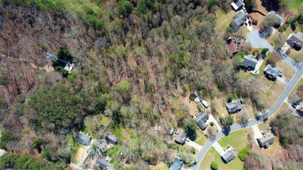 3588 Old Hamilton Mill Road Northeast Buford, GA 30519 - Photo 46 of 49 a view of a tree with a plant