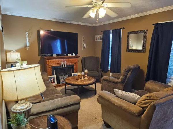 a living room with furniture a fireplace and a flat screen tv