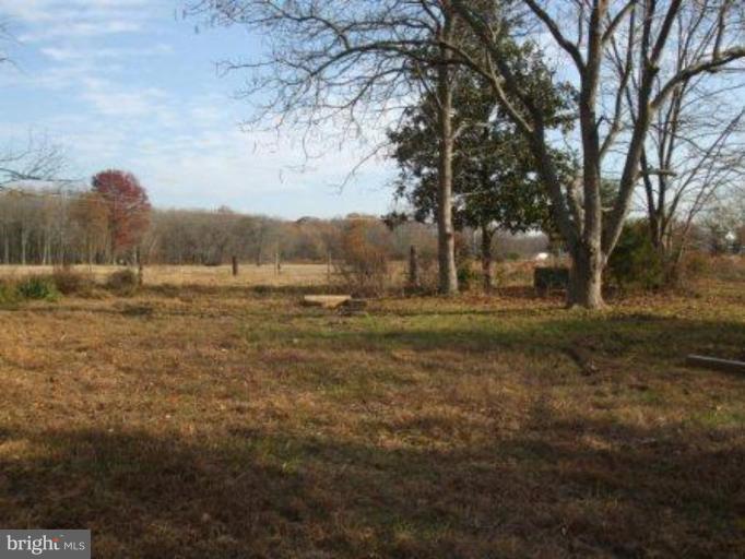 Pasture