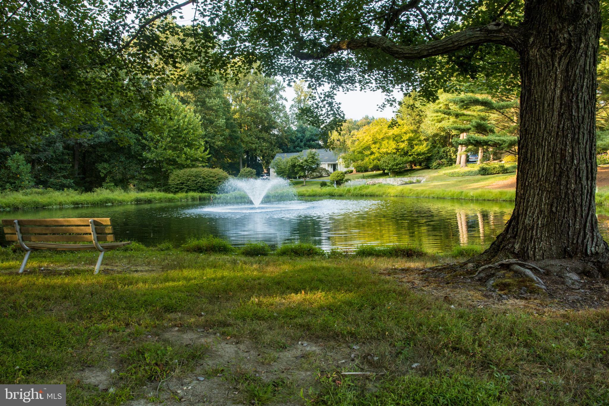 54 Quartz Mill Road Newark, DE 19711 - Photo 19 of 31 Pond view with fountain