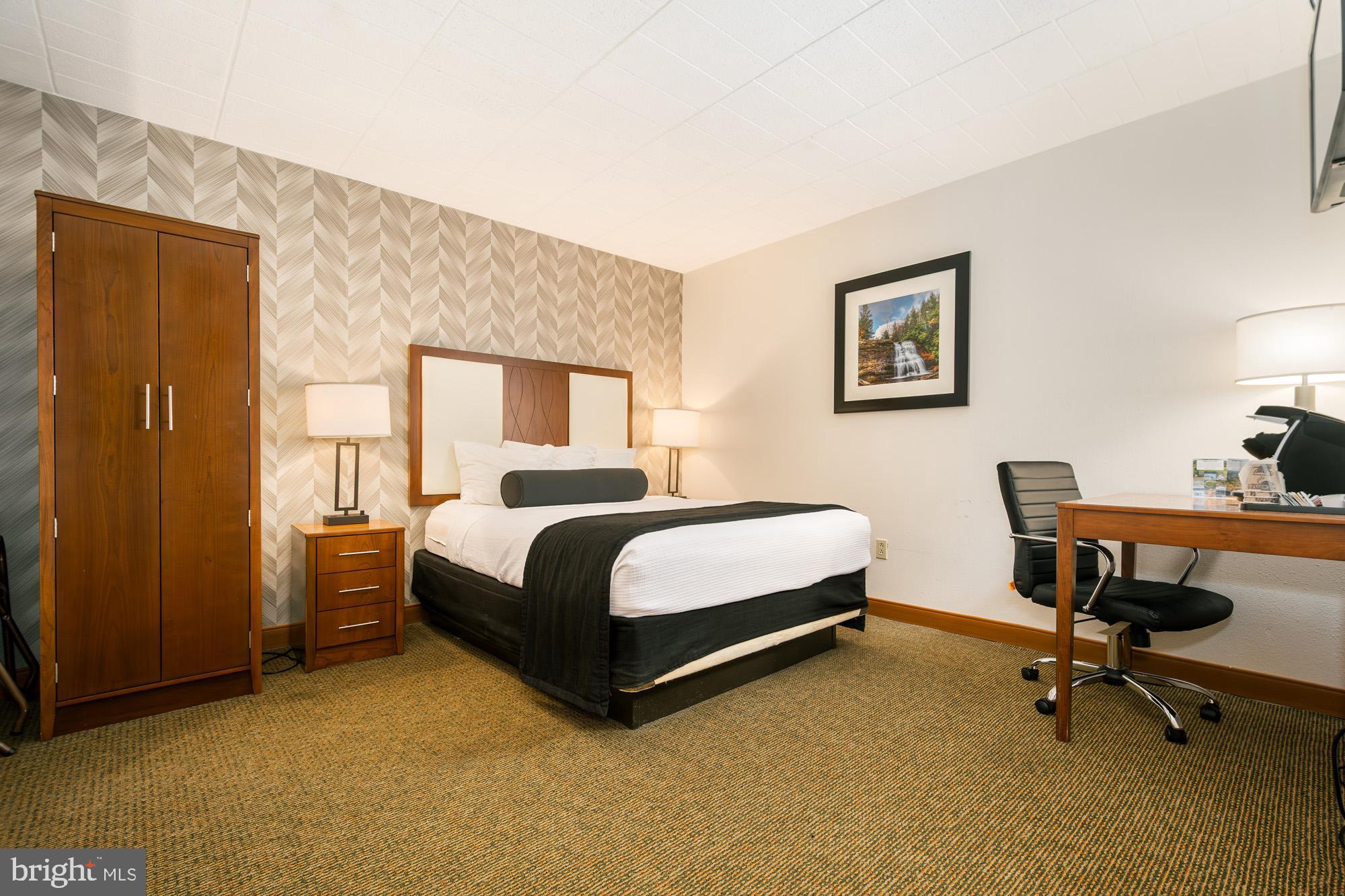 290 Marsh Hill Road, Unit 226K McHenry, MD 21541 - Photo 10 of 25 a spacious bedroom with a bed and a desk