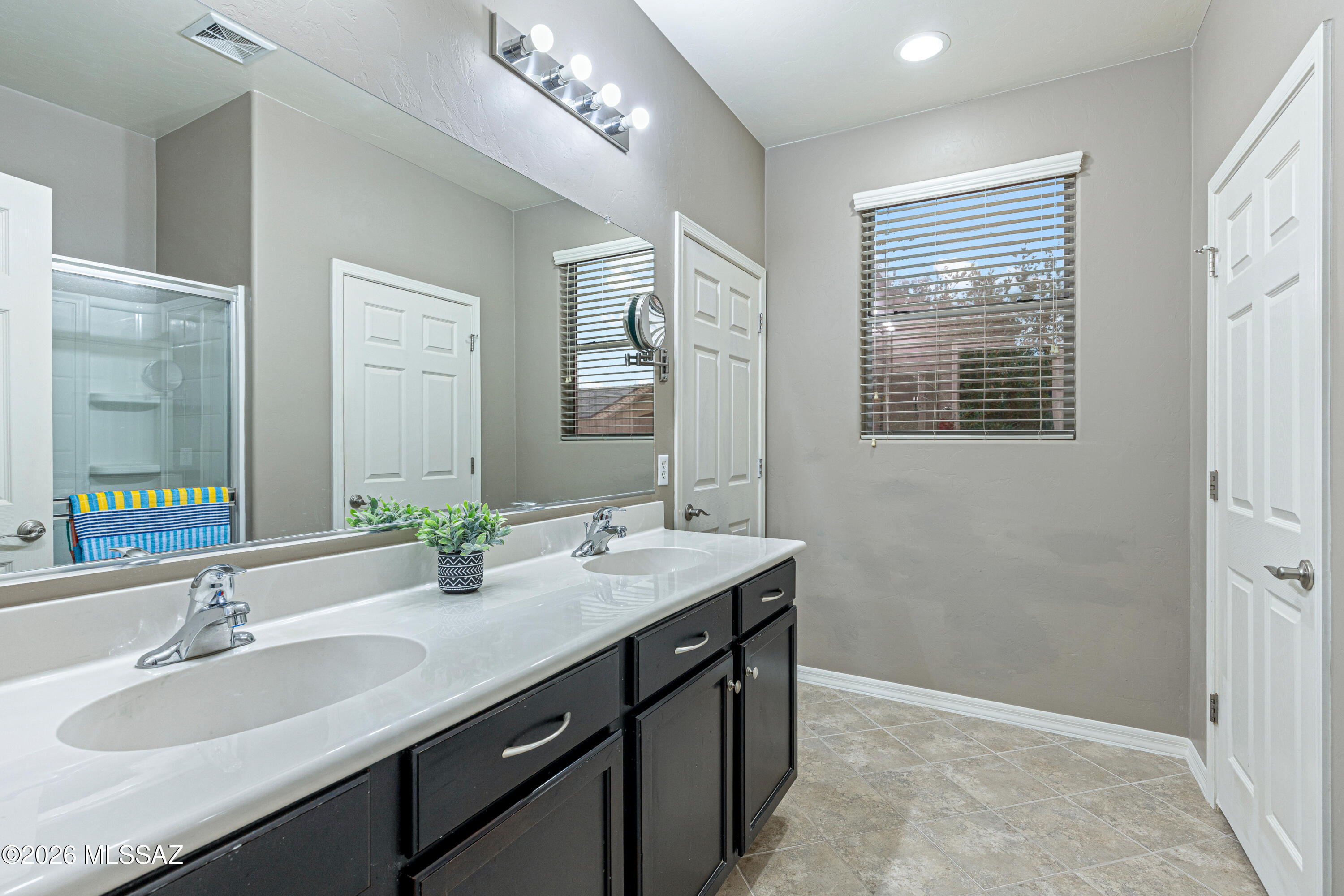 38946 South Running Roses Lane Tucson, AZ 85739 - Photo 18 of 36 Primary Bathroom