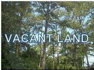 375 Cross Swamp Road Lodge, SC 29082 - Photo 1 of 1 Primary Photo