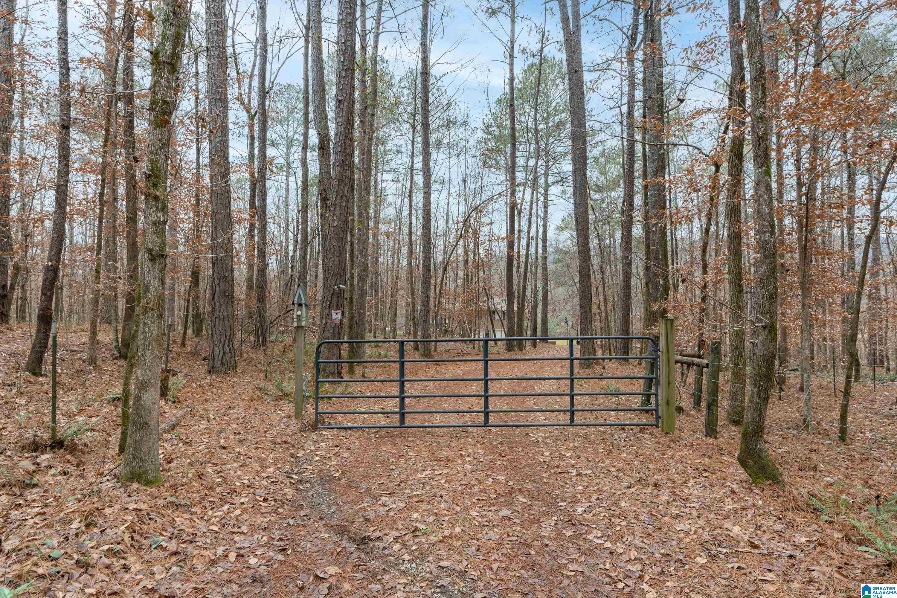 384 Moss Rock Trail Sterrett, AL 35147 - Photo 41 of 47