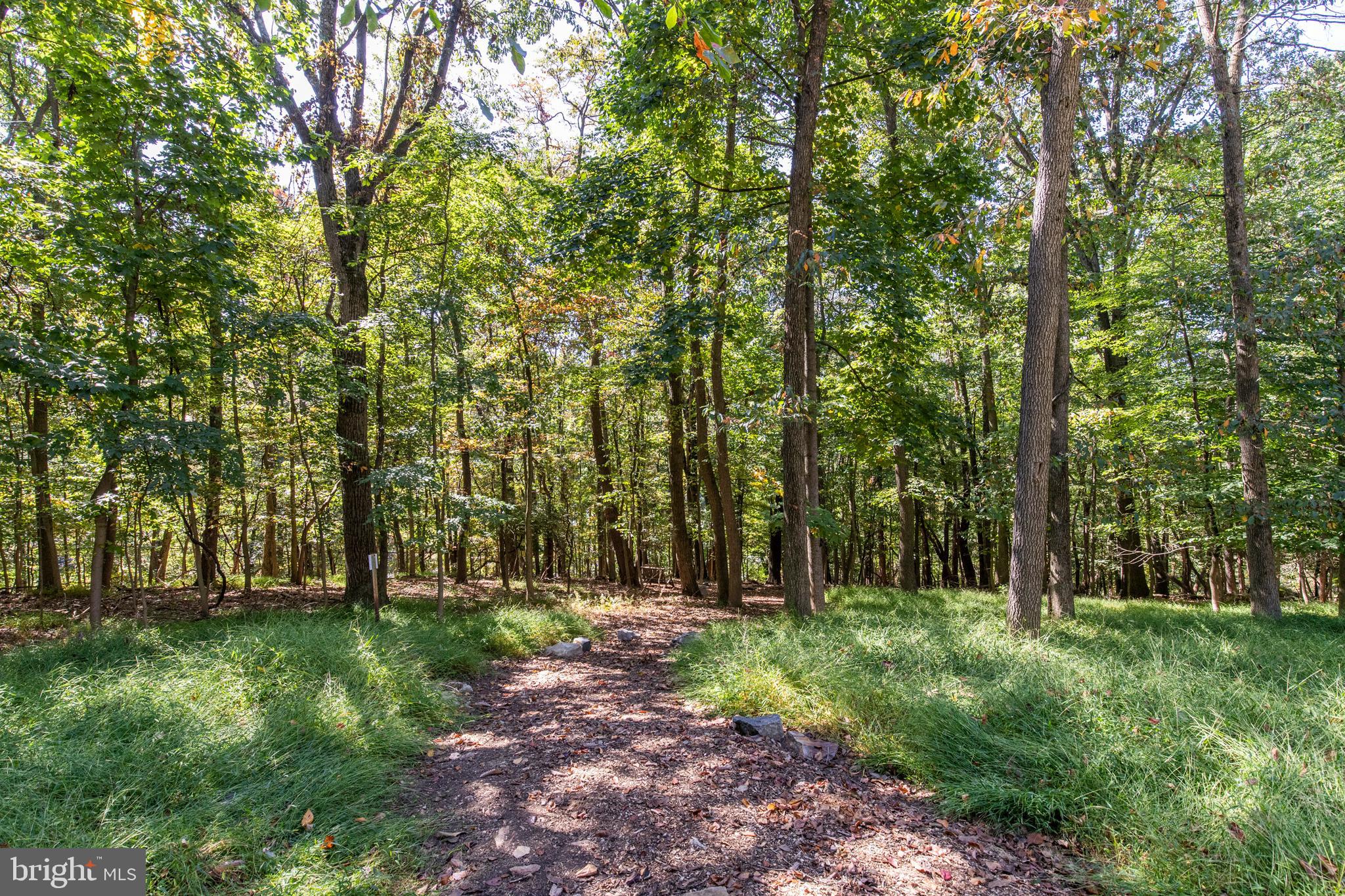 651 Crestwood Road Wayne, PA 19087 - Photo 32 of 36