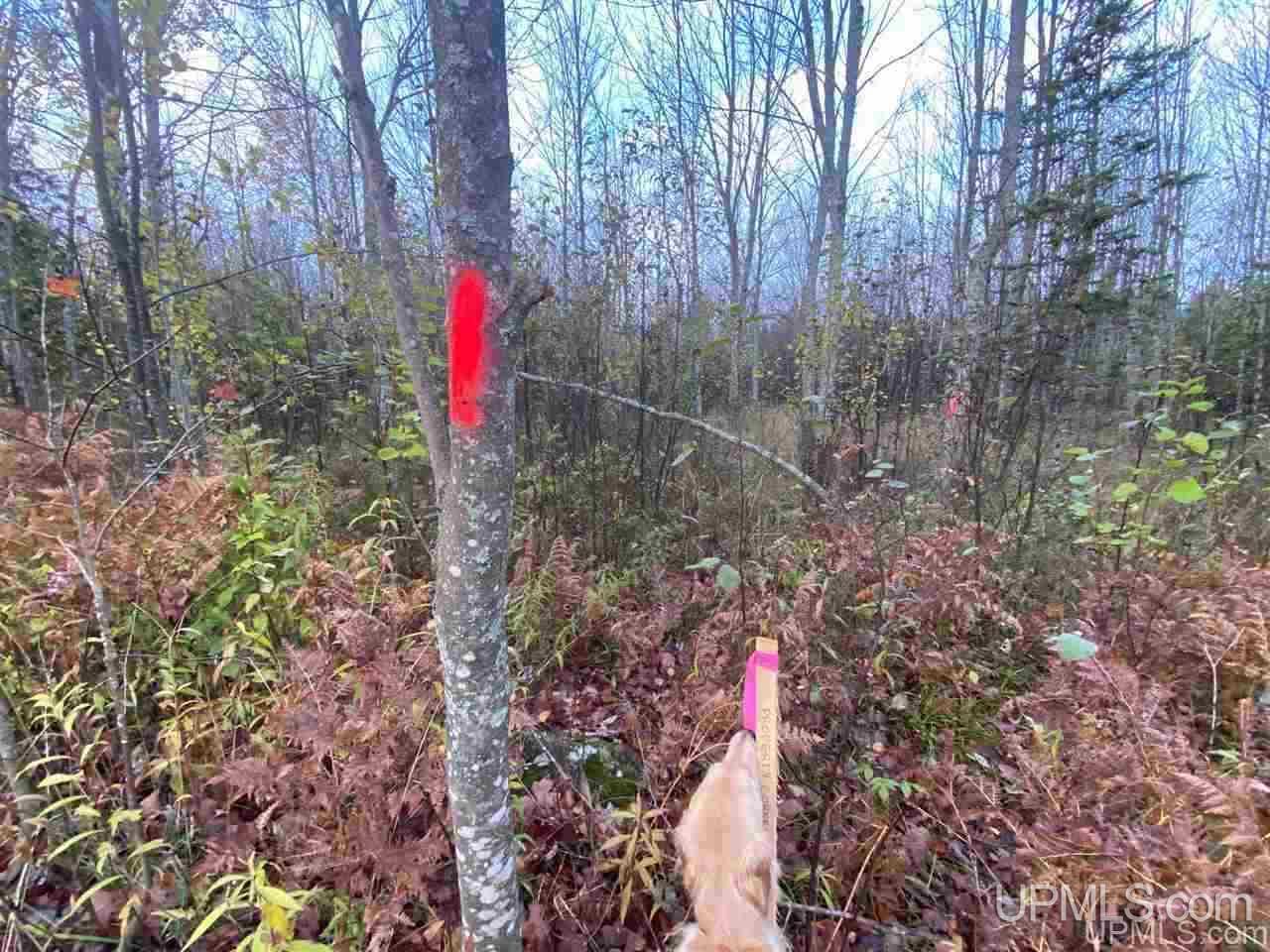 Tbd Rauhala Road Atlantic Mine, MI 49905 - Photo 26 of 27 Gallery Image 26
