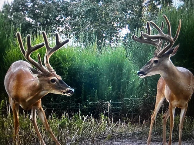 $692,901 | 2781 St Kennard Tx 75847, Kennard, TX 75847