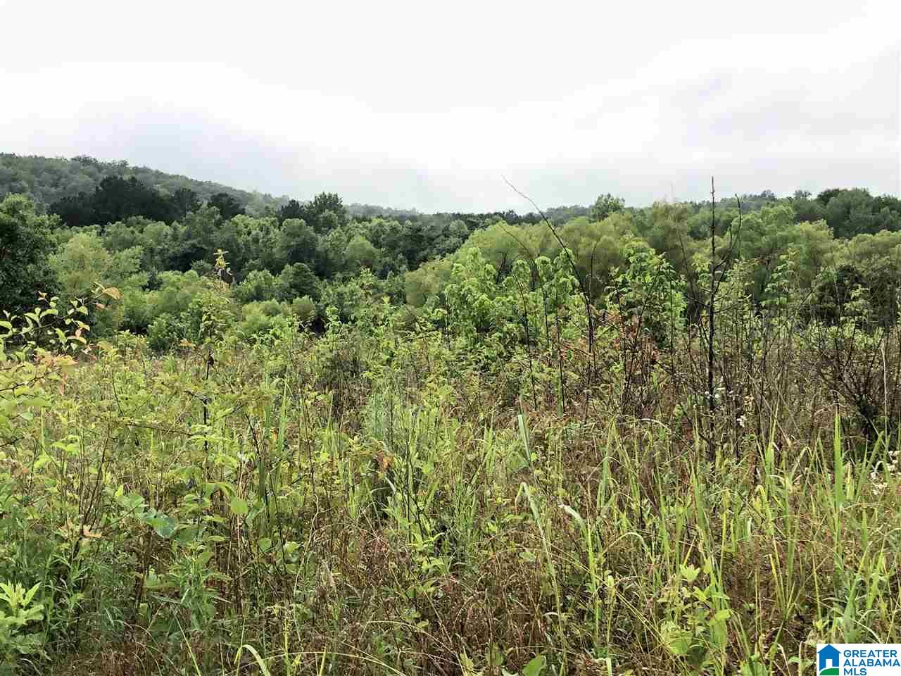 0 Old Downey Mill Road Anniston, AL 36207 - Photo 20 of 28