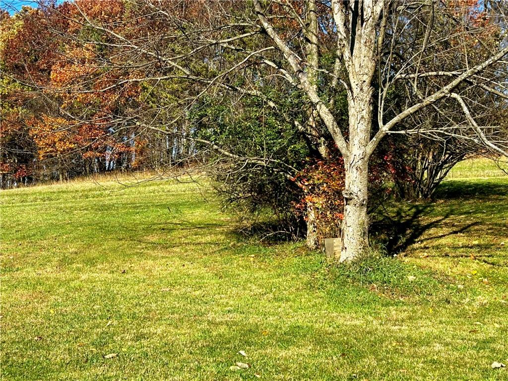 9000 Old Rte 56 Shelocta, PA 15774 - Photo 26 of 31 Gallery Image 26