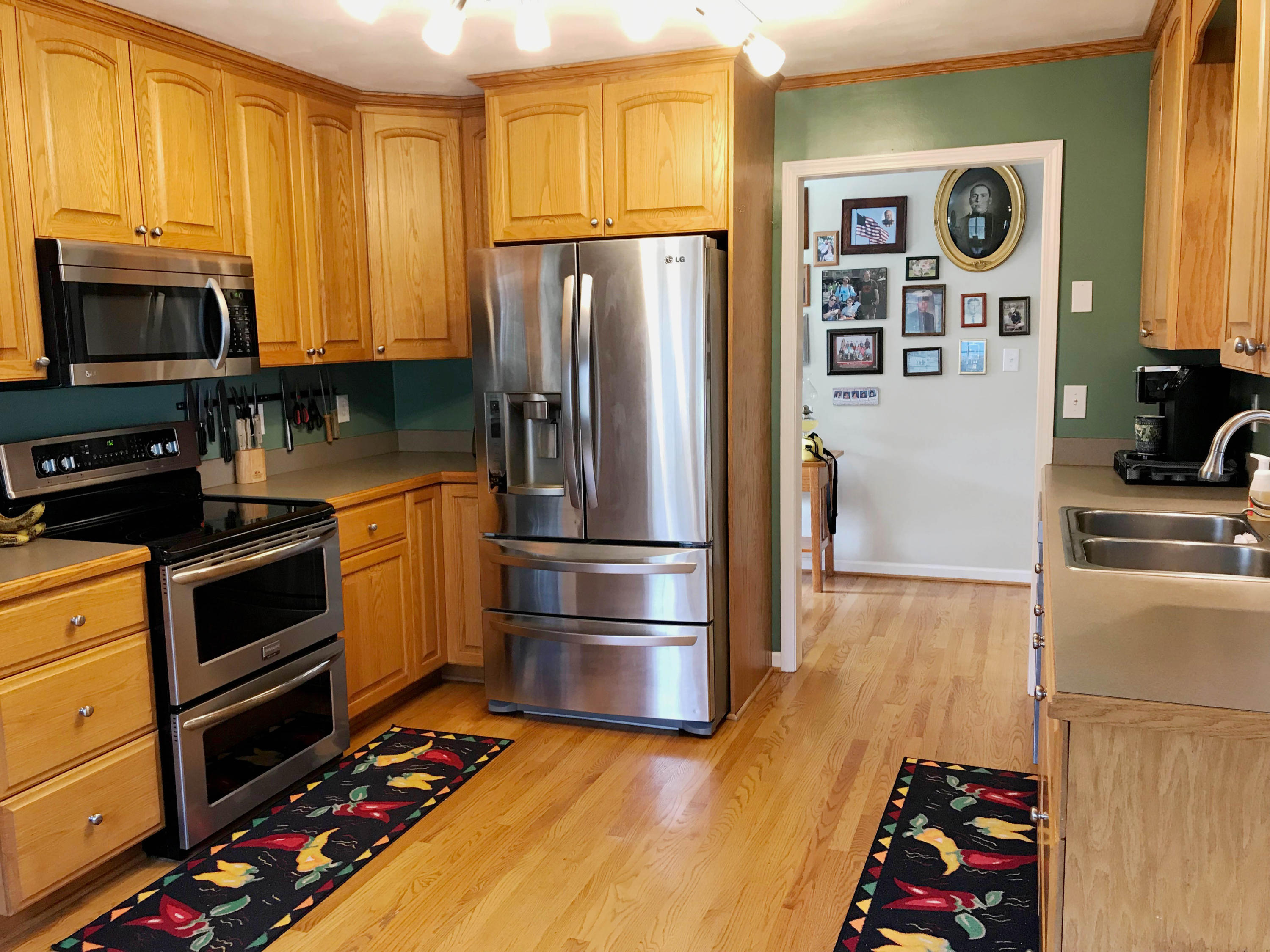 720 Pine Haven Road Fincastle, VA 24090 - Photo 16 of 38 Stainless Appliances