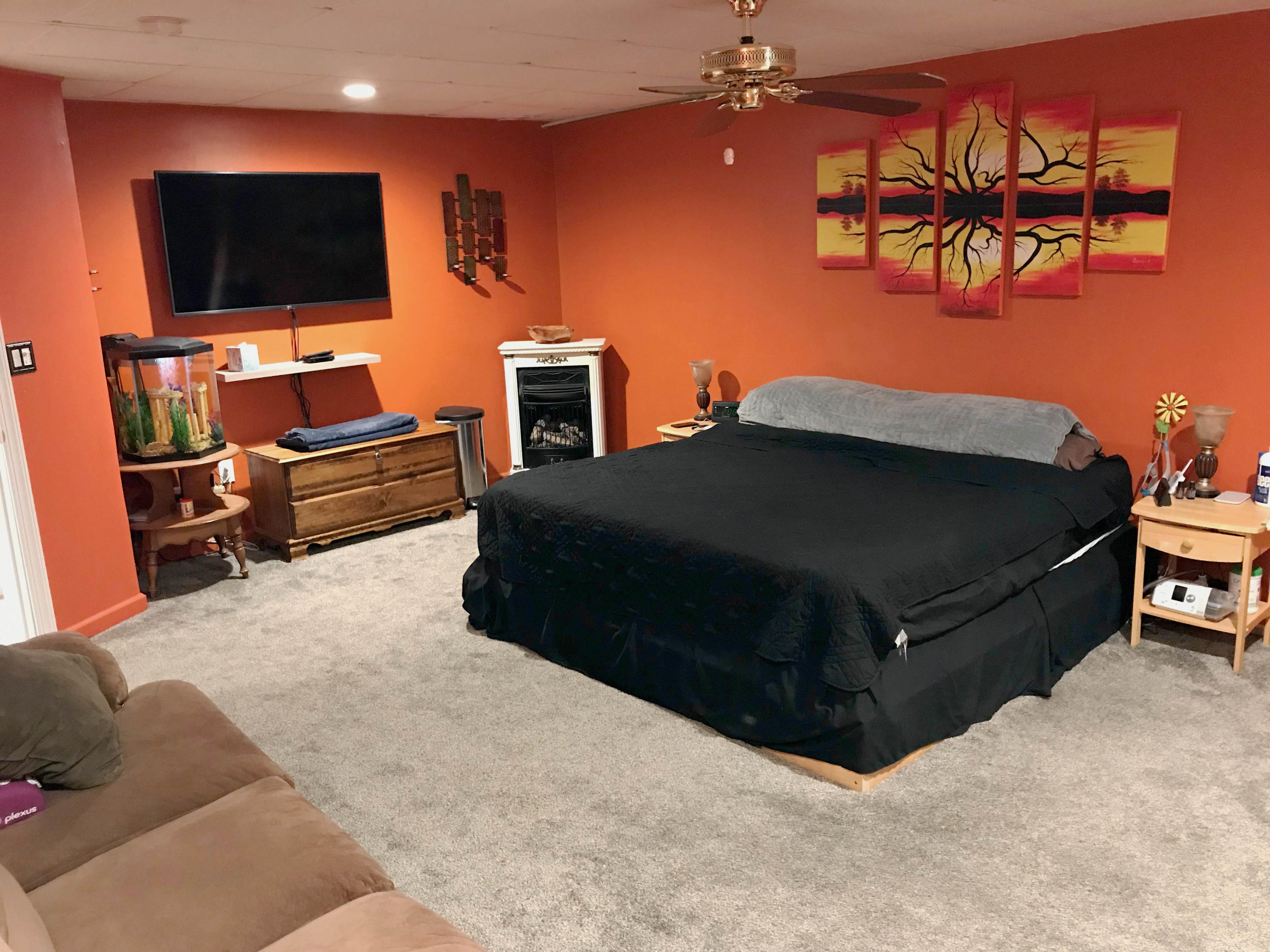 720 Pine Haven Road Fincastle, VA 24090 - Photo 29 of 38 Family Room