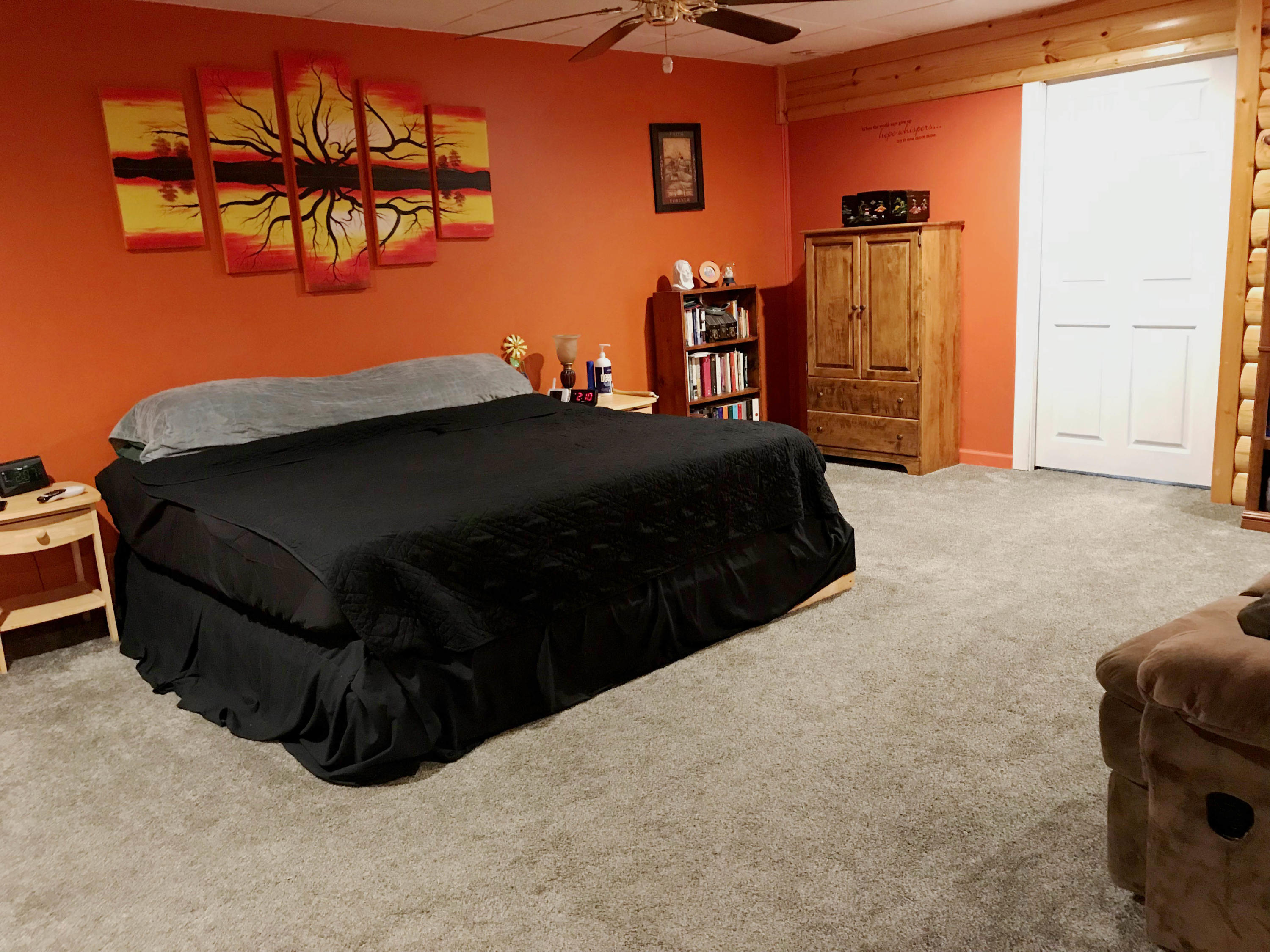 720 Pine Haven Road Fincastle, VA 24090 - Photo 31 of 38 Family Room w/ large walk in closet