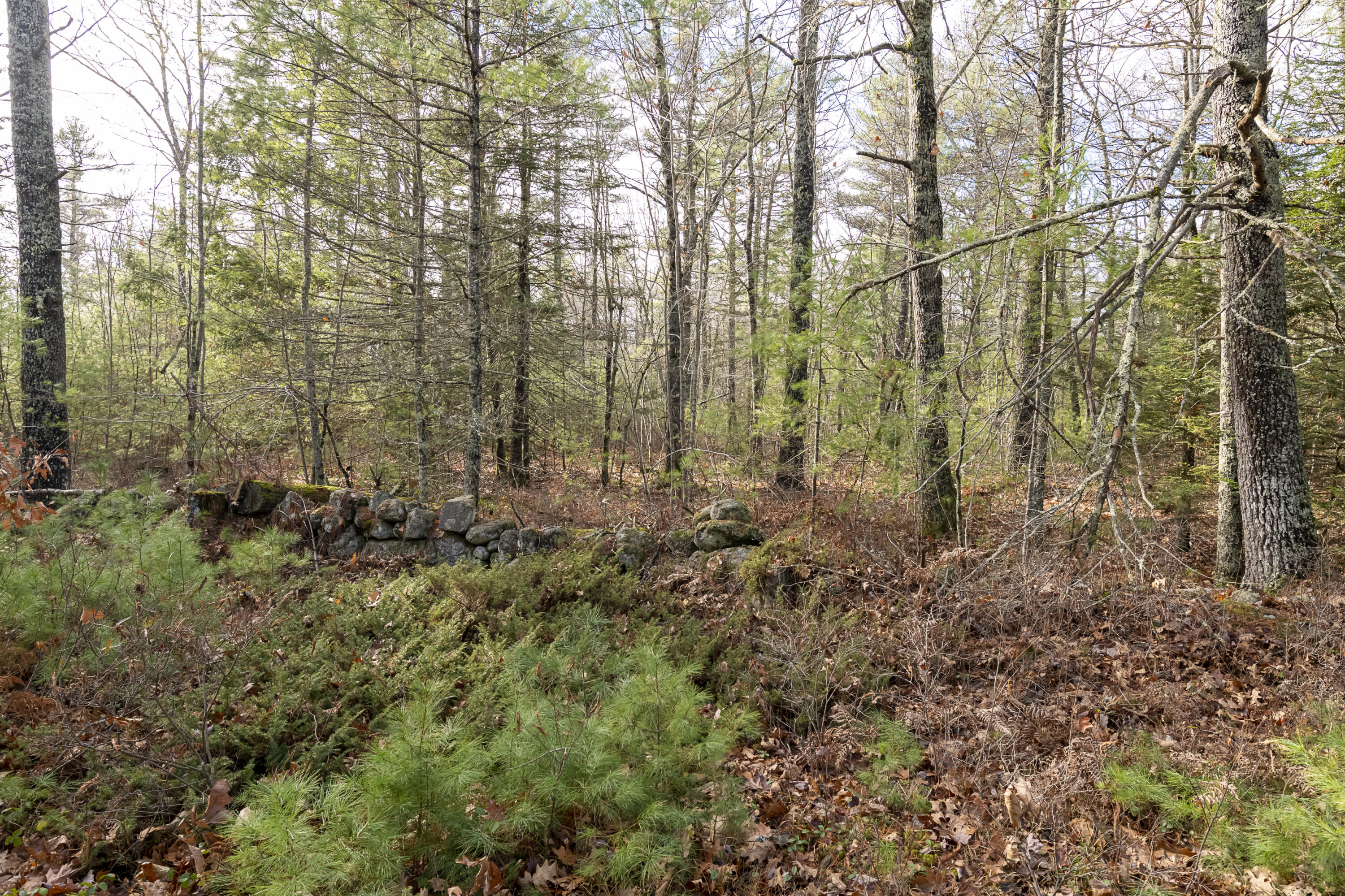 Lot 17 Hockomock Road Woolwich, ME 04579 - Photo 1 of 5 GLM_5034