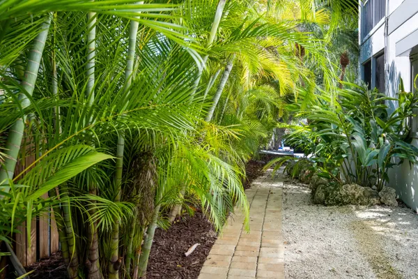 a view of street view