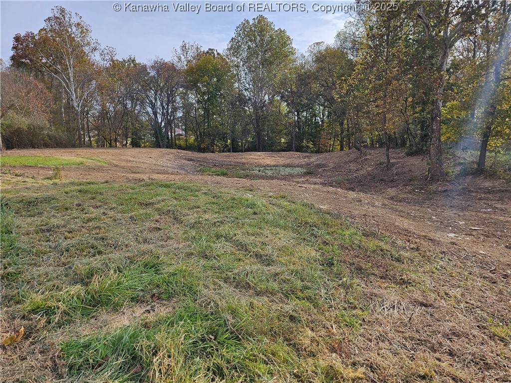 0 Ohio River Road Point Pleasant, WV 25550 - Photo 7 of 15 Gallery Image 7