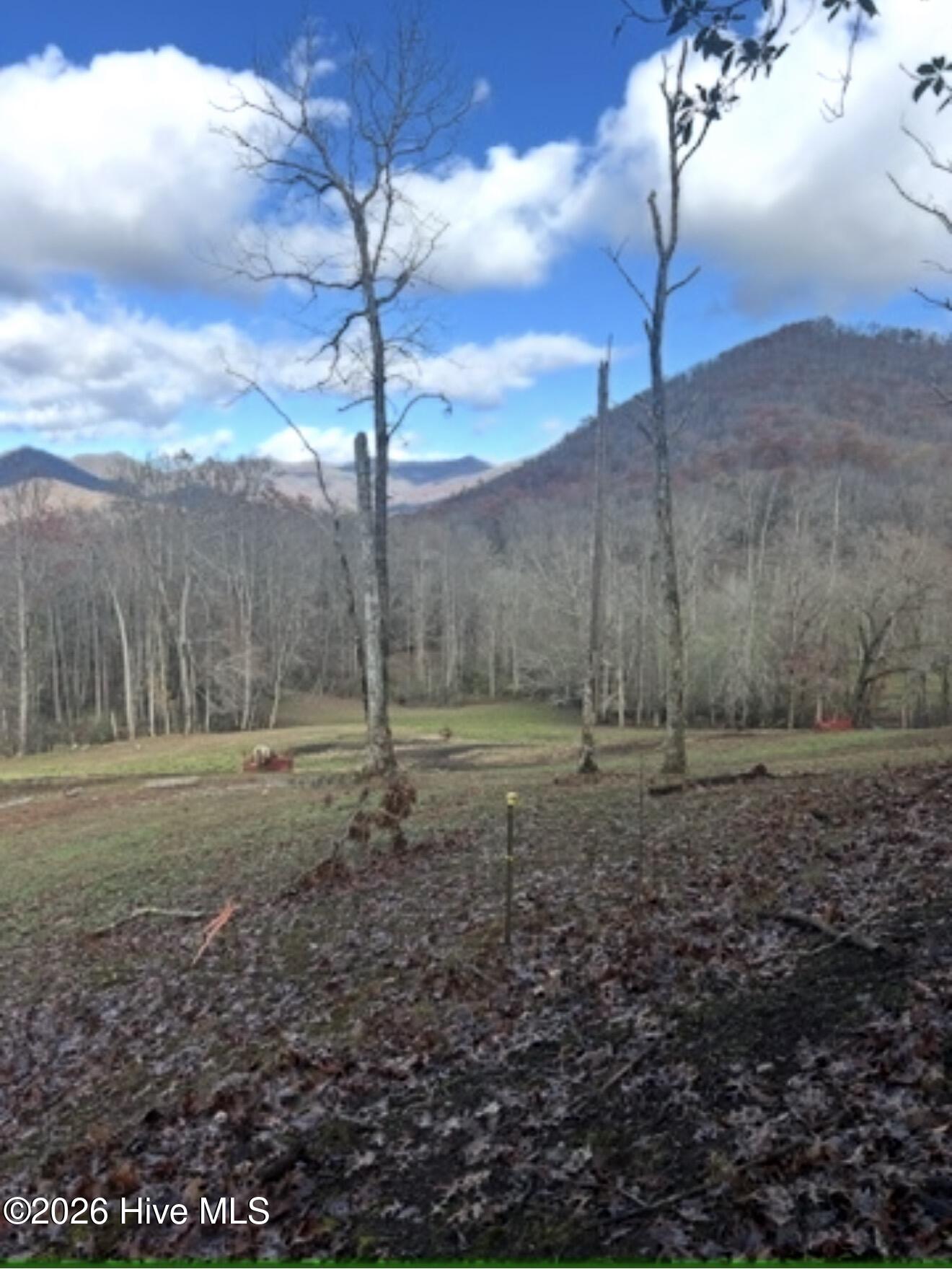 1306 Hot House Road Hayesville, NC 28904 - Photo 73 of 87 Gallery Image 73