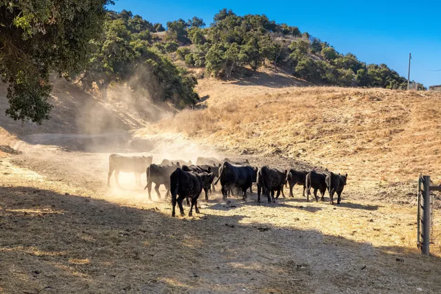 $29,800,000 | 0 Ca Highway, Los Alamos, CA 93440