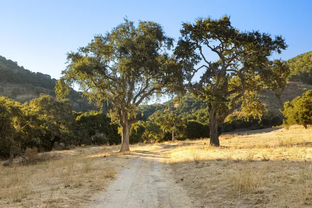 $29,800,000 | 0 Ca Highway, Los Alamos, CA 93440