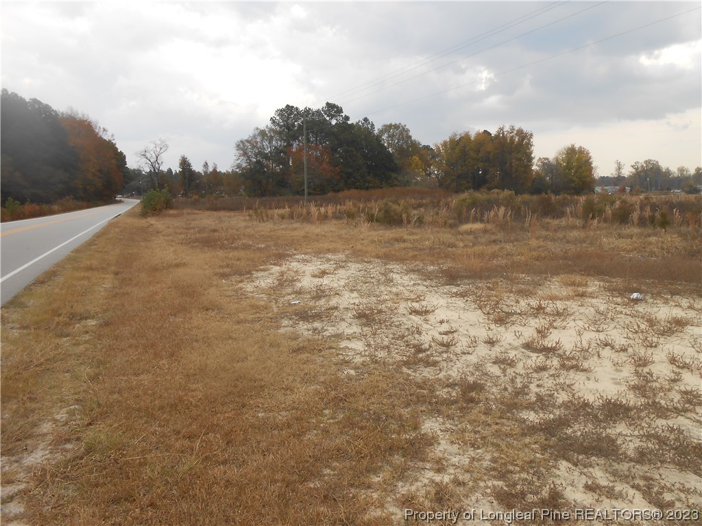 0 Covington Farm Road St. Pauls, NC 28384 - Photo 2 of 10 Gallery Image 2