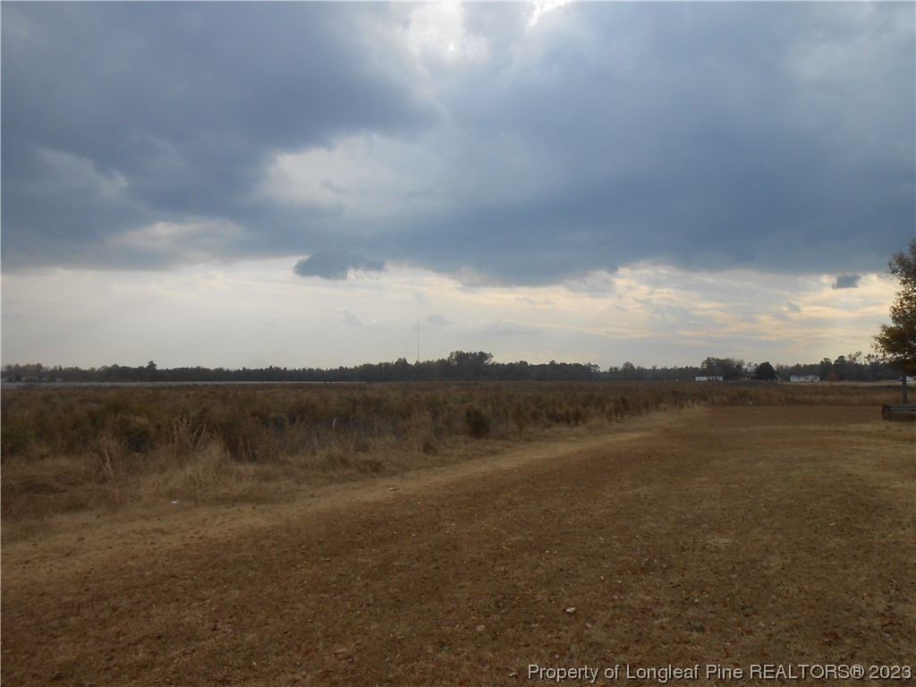 0 Covington Farm Road St. Pauls, NC 28384 - Photo 4 of 10 Gallery Image 4