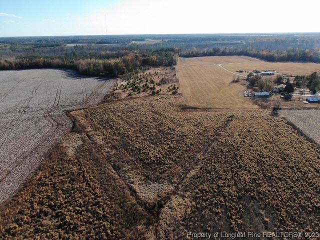 0 Covington Farm Road St. Pauls, NC 28384 - Photo 9 of 10 Gallery Image 9