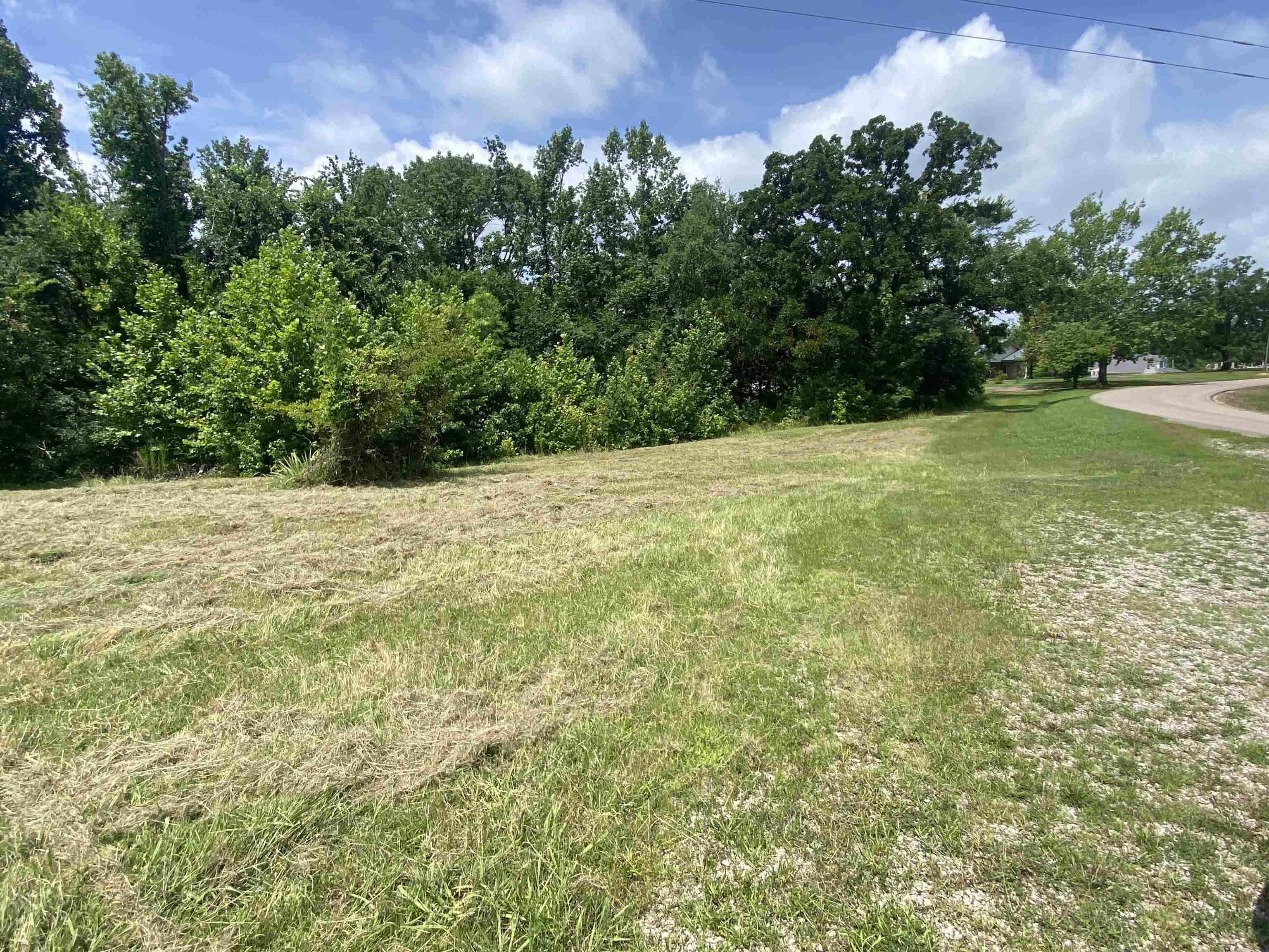 5405 Coffee Landing Road Morris Chapel, TN 38361 - Photo 4 of 40 Gallery Image 4