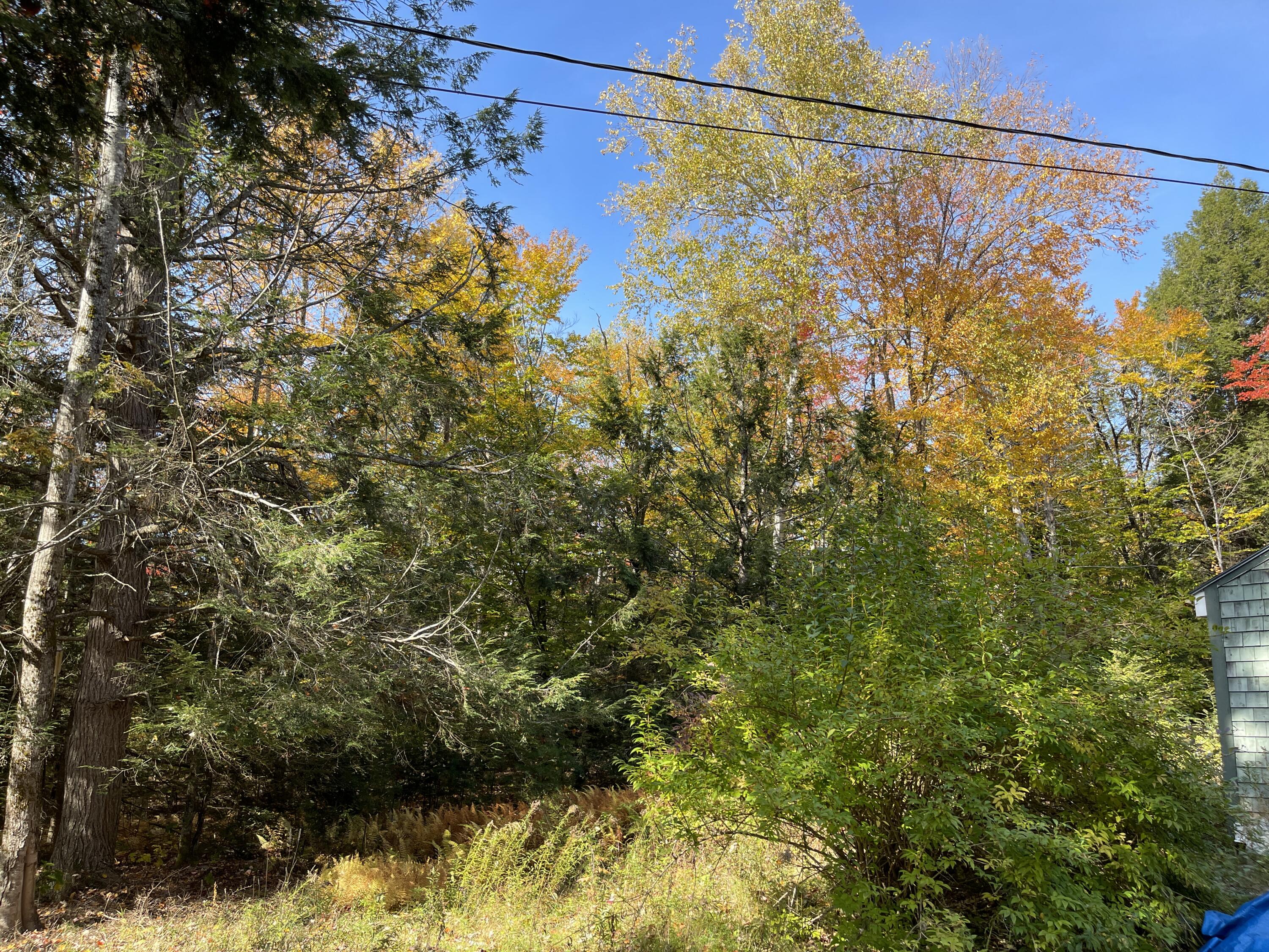 81 Parkman Road Garland, ME 04939 - Photo 22 of 24 IMG_7380