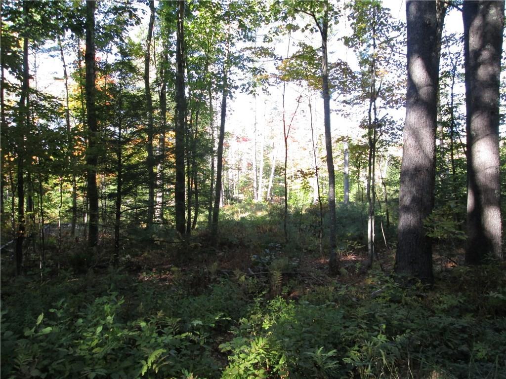 4.6 Sand Pond Road Hollis Center, ME 04042 - Photo 1 of 1 Photo