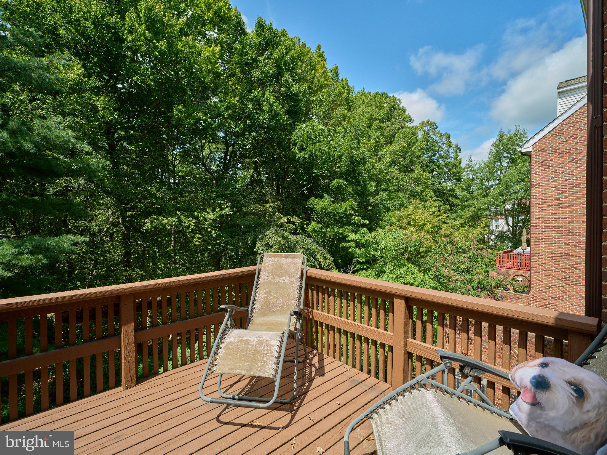 27 Sentinel Road, Unit 139 Washington Crossing, PA 18977 - Photo 15 of 37 Serene deck with lush green views.