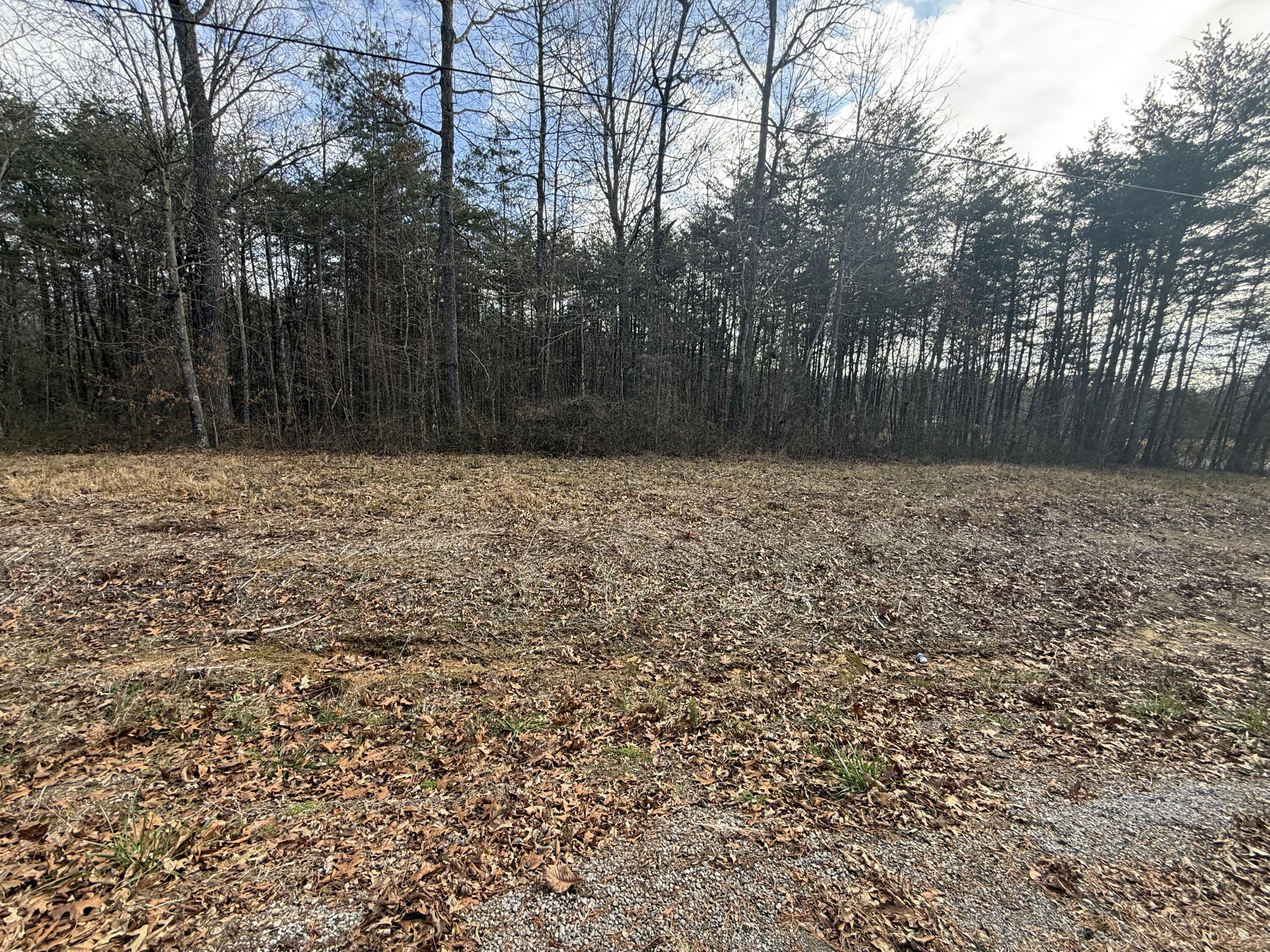 1 County Road, Unit 267 LOT 6 Bryant, AL 35958 - Photo 3 of 7 IMG_9675