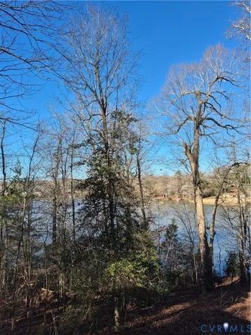 a view of a yard with plants and trees