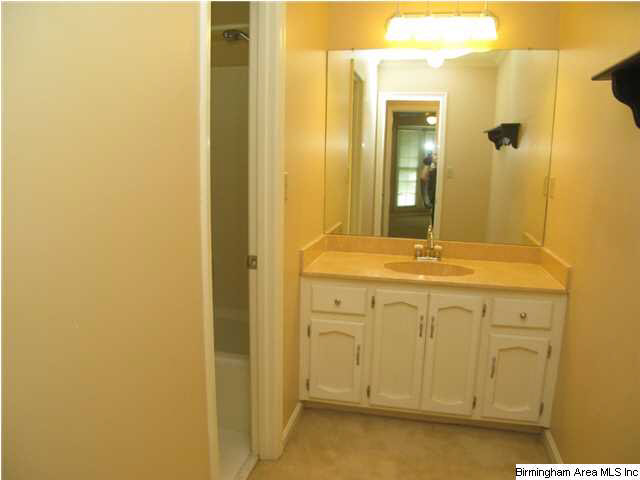 889 Mountain Ridge Drive Birmingham, AL 35209 - Photo 9 of 26
