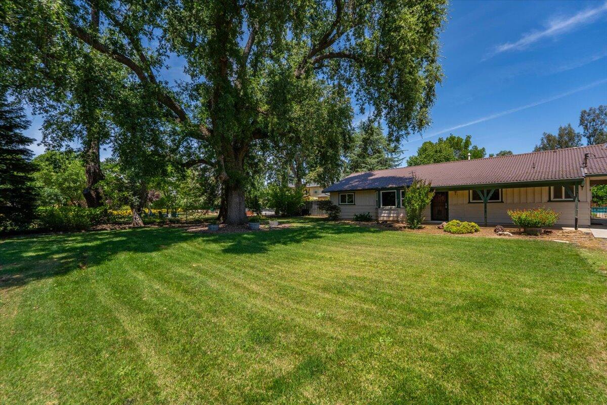 9871 Deschutes Road Palo Cedro, CA 96073 - Photo 72 of 80 81-Front Yard