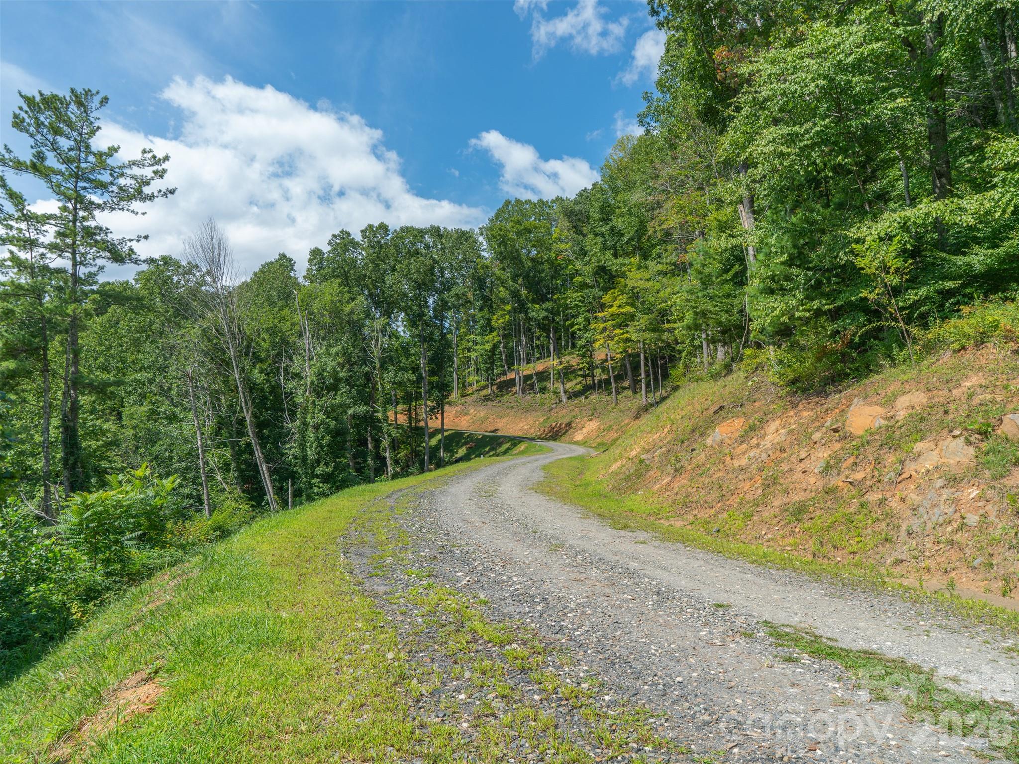 0 Locust Rough Mountain Road, Unit LOT 6 Burnsville, NC 28714 - Photo 25 of 26